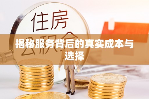 天河揭秘服务背后的真实成本与选择