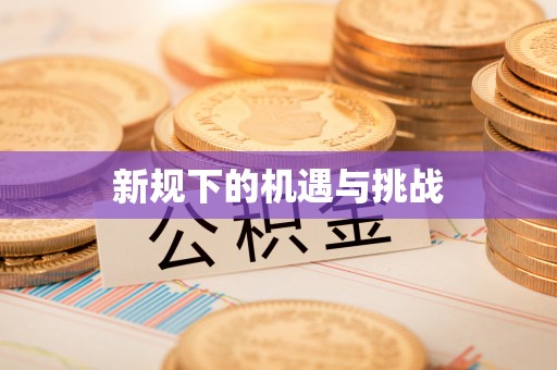 天河新规下的机遇与挑战