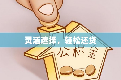 天河灵活选择，轻松还贷