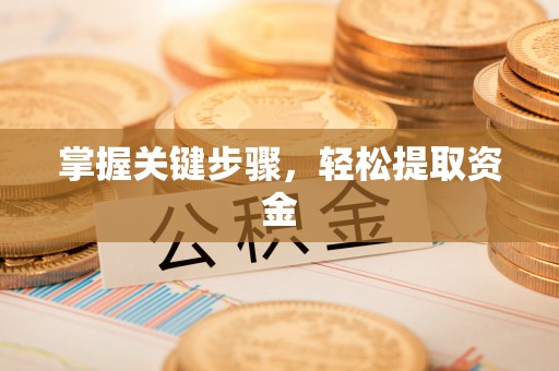 天河掌握关键步骤，轻松提取资金