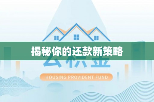 天河揭秘你的还款新策略