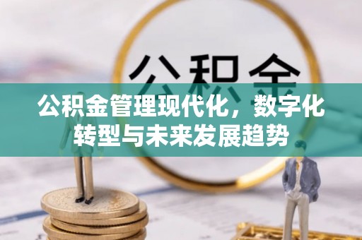 天河公积金管理现代化，数字化转型与未来发展趋势