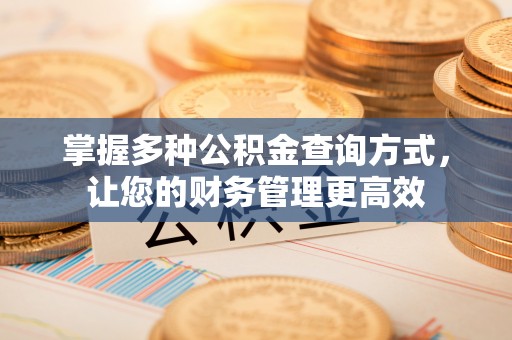 天河掌握多种公积金查询方式，让您的财务管理更高效