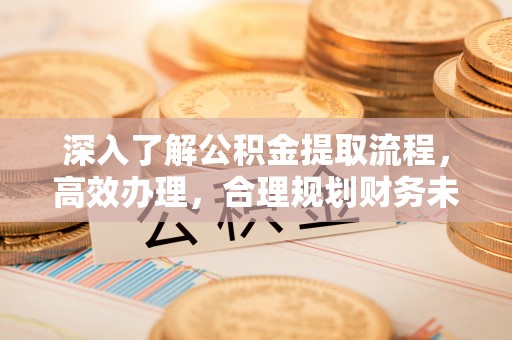 天河深入了解公积金提取流程，高效办理，合理规划财务未来