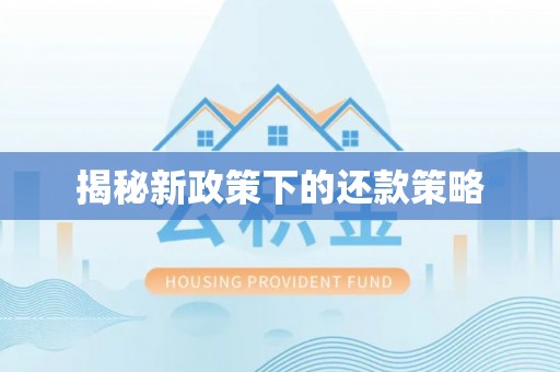 天河揭秘新政策下的还款策略