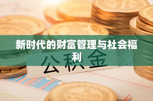 天河新时代的财富管理与社会福利