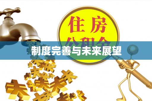 天河制度完善与未来展望