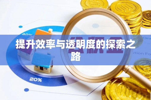 天河提升效率与透明度的探索之路