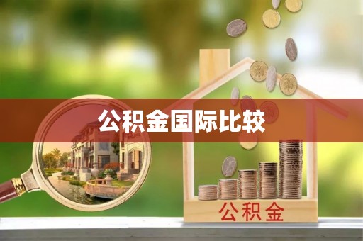 天河公积金国际比较