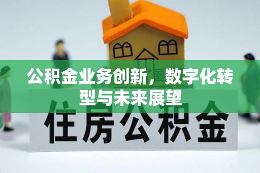 天河公积金业务创新，数字化转型与未来展望
