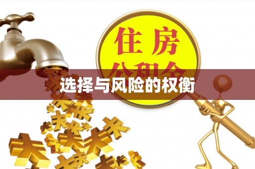 天河选择与风险的权衡
