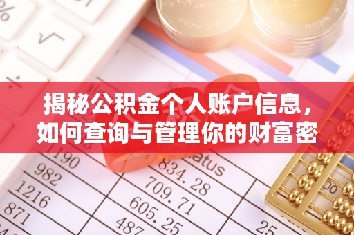 天河揭秘公积金个人账户信息，如何查询与管理你的财富密码