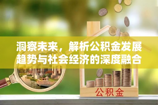 天河洞察未来，解析公积金发展趋势与社会经济的深度融合