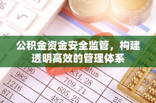 天河公积金资金安全监管，构建透明高效的管理体系