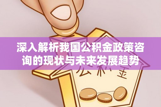 天河深入解析我国公积金政策咨询的现状与未来发展趋势