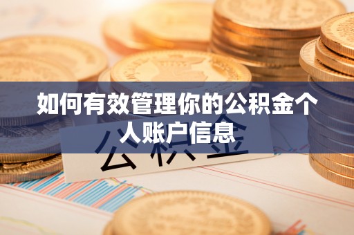 天河如何有效管理你的公积金个人账户信息