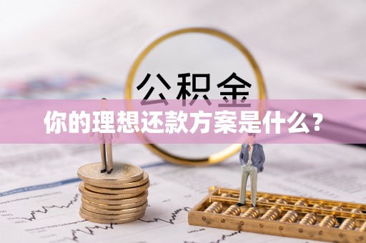 天河你的理想还款方案是什么？