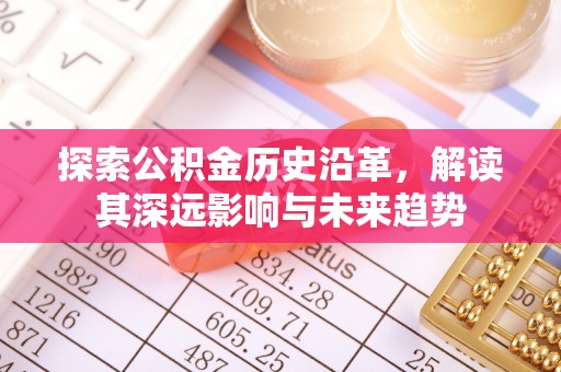 天河探索公积金历史沿革，解读其深远影响与未来趋势