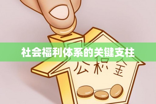 天河社会福利体系的关键支柱