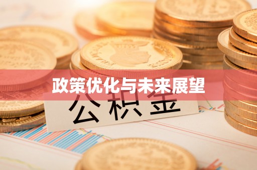 天河政策优化与未来展望