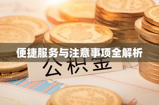 天河便捷服务与注意事项全解析