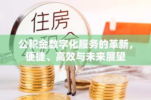 天河公积金数字化服务的革新，便捷、高效与未来展望
