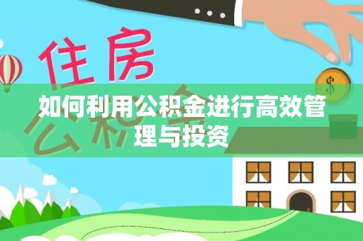 天河如何利用公积金进行高效管理与投资