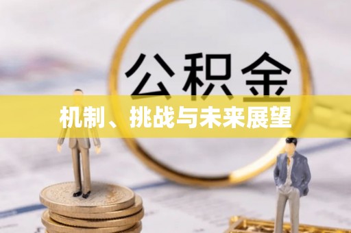 天河机制、挑战与未来展望