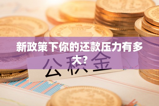 天河新政策下你的还款压力有多大？