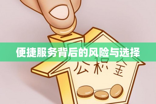 天河便捷服务背后的风险与选择