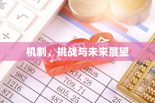 天河机制、挑战与未来展望
