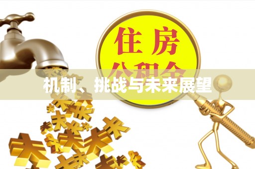 天河机制、挑战与未来展望